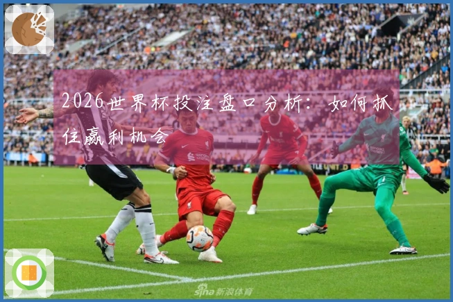 2026世界杯投注盘口分析：如何抓住赢利机会