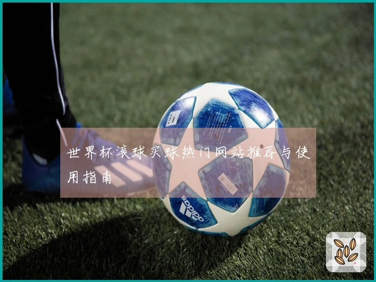 世界杯滚球买球热门网站推荐与使用指南