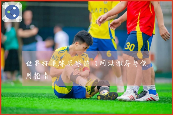 世界杯滚球买球热门网站推荐与使用指南