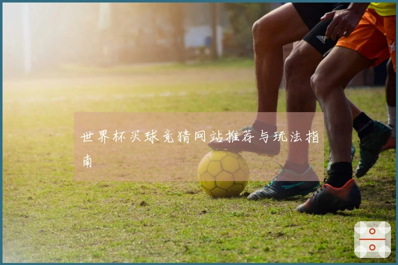 世界杯买球竞猜网站推荐与玩法指南