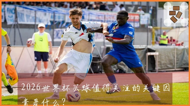 2026世界杯买球值得关注的关键因素是什么？
