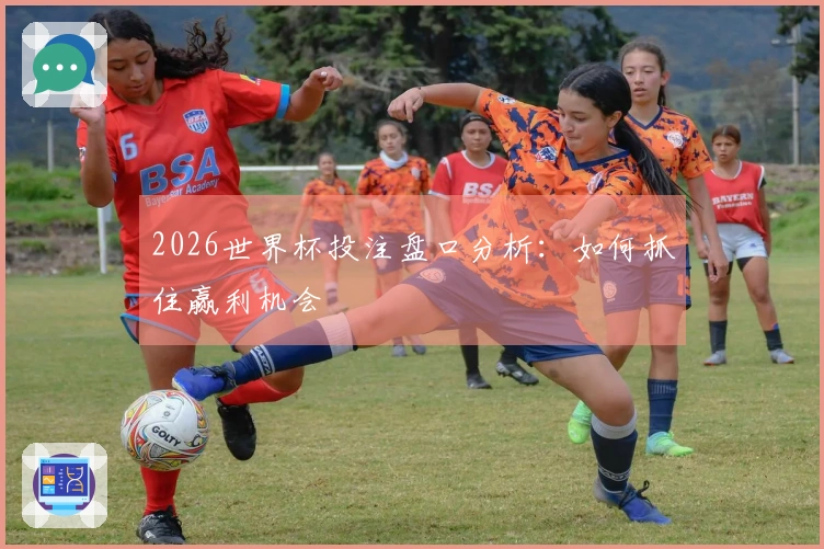 2026世界杯投注盘口分析：如何抓住赢利机会