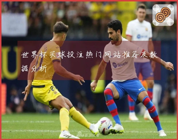 世界杯买球投注热门网站推荐及数据分析